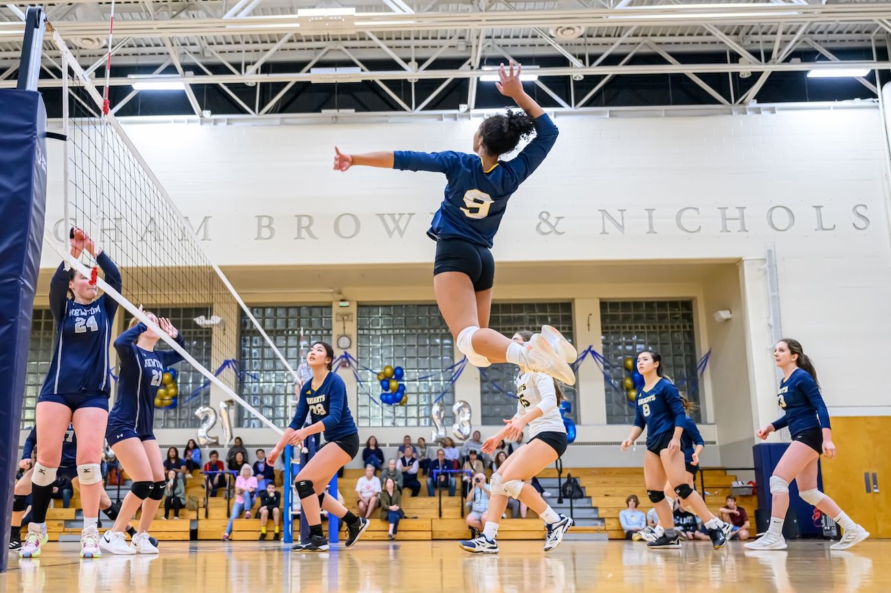 Volleyball player
