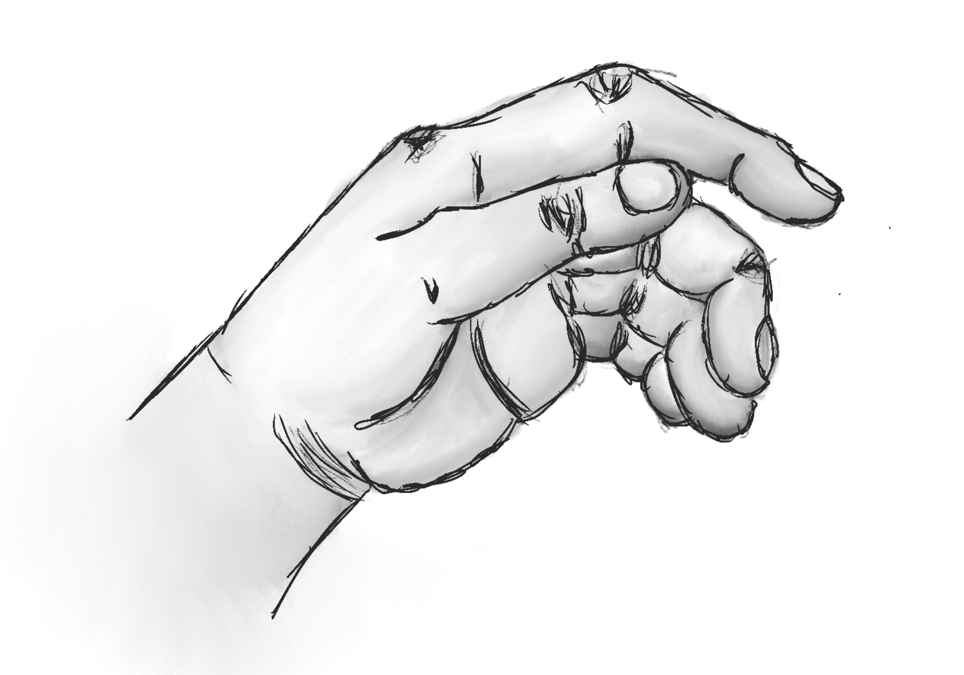 Fourth Step: Shaded