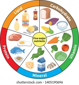 nutrients