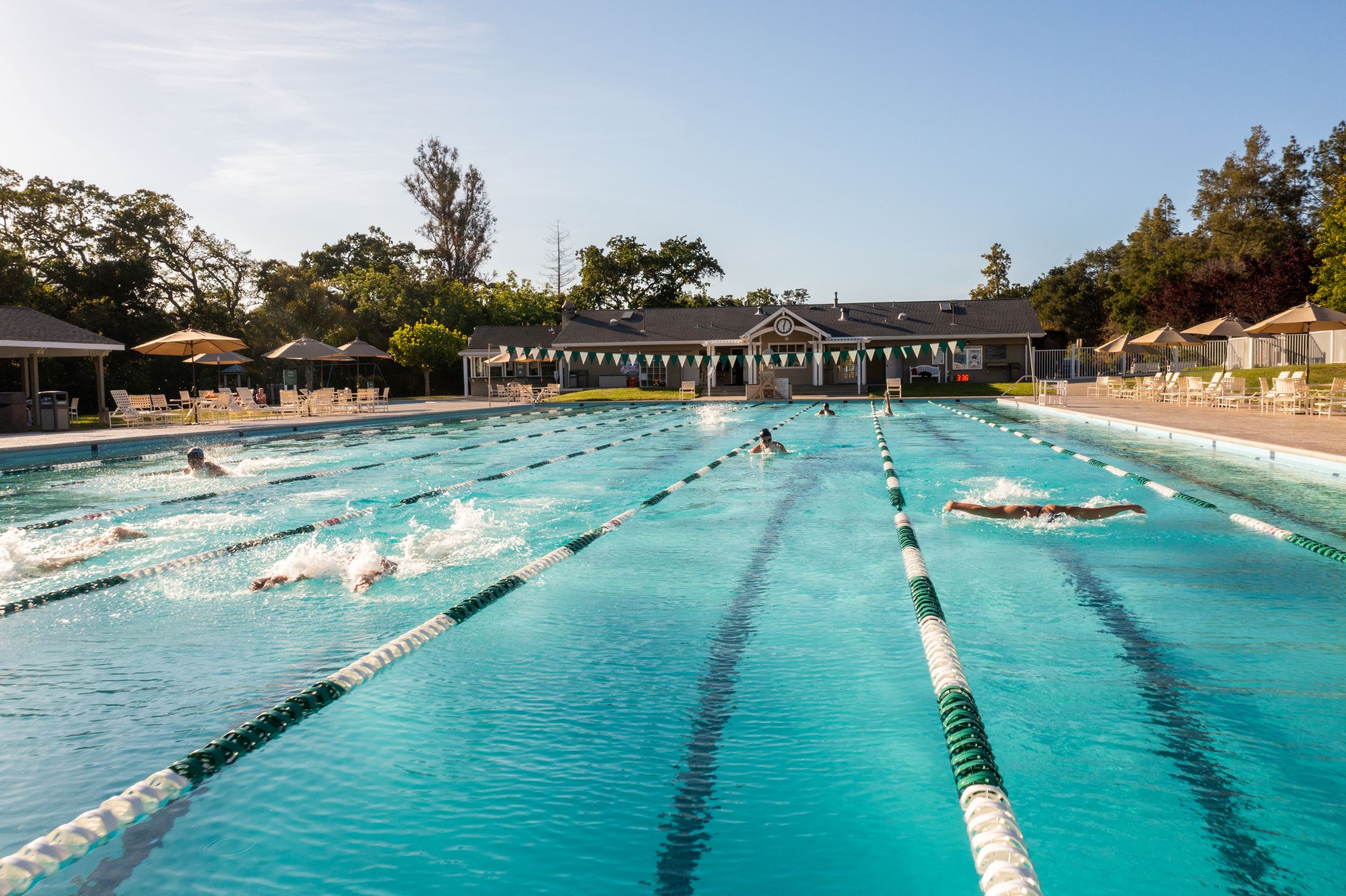 Swimmers In a Swimming Pool